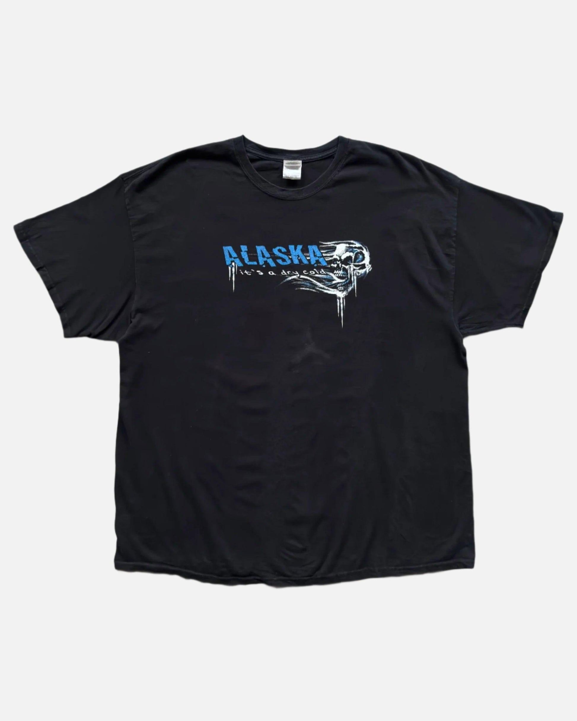 VINTAGE ALASKA TEE