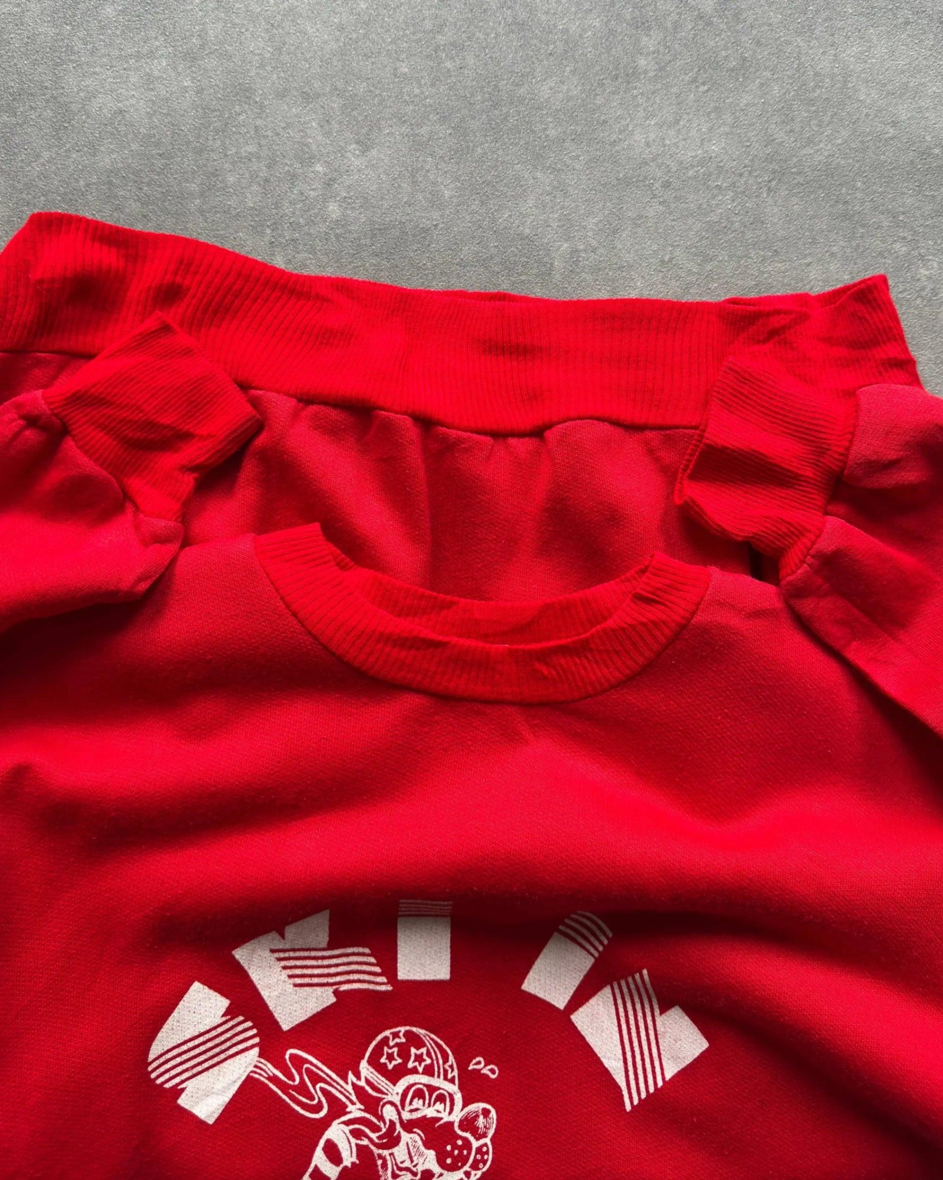 VINTAGE SKI IN SWEATSHIRT